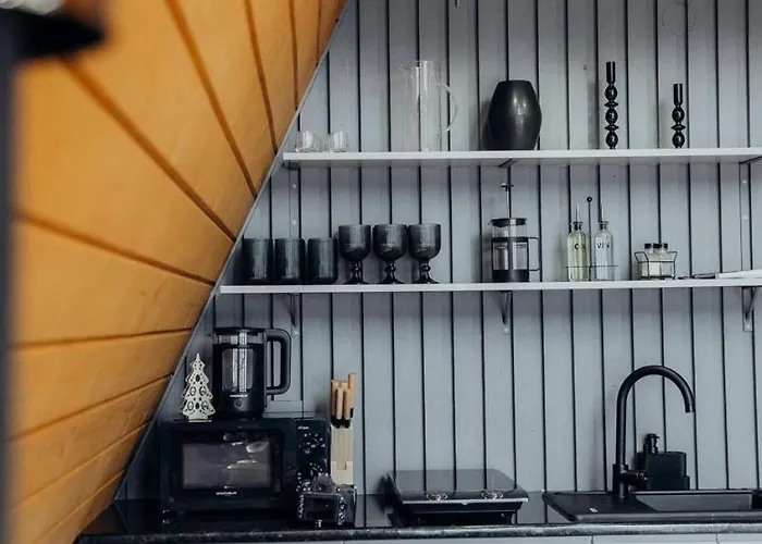 Memories Carpaty Apartment Mizhhirya (Transcarpathia)