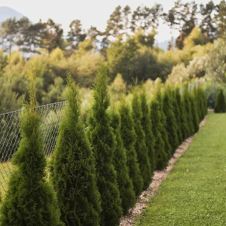 Memories Carpaty * Mizhhirya (Transcarpathia)